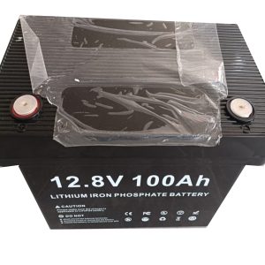 12V 100AH Lithium Iron Battery (Maintenance Free)