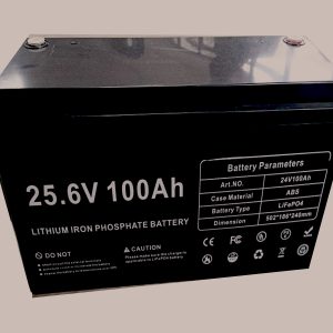 24V 100AH Lithium Iron Battery (Maintenance Free)